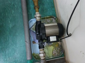 안녕하세요, 신정점 세탁 사업단입니다.&nbsp;최근 급수 펌프의 누수 현상을 발견하여 즉시 점검을 진행하였습니다.&nbsp;노후화로 인한 손상이 확인되어, 안정적인 운영을 위해 신규 급수 펌프기로 긴급 교체를 완료했습니다.지난 10년 동안 고생해 준 기존 설비에 이어, 새 설비와 함께 더욱 정성스러운 세탁 서비스를 약속드립니다.&nbsp;앞으로의 10년도 변함없는 신뢰를 드리는 신정점이 되겠습니다.