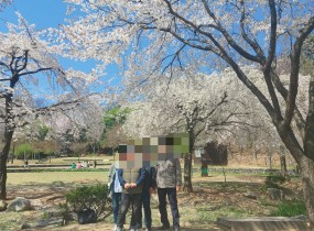 본격적인 요리 실습에 앞서, 지난 4월 7일(화) 도시락 사업단 참여자들과 함께 화사한 벚꽃 나들이를 다녀왔습니다.활짝 피어난 벚꽃 아래서 잠시 일상의 여유를 즐기며, 앞으로 함께할 동료들과 마음의 거리를 좁히고 팀워크를 단단히 다지는 소중한 시간이 되었습니다.&nbsp;이날의 즐거운 에너지는 이어진 3일간의 요리 실습에서도 빛을 발했습니다.&nbsp;서로를 격려하며 합을 맞추는 모습 속에서 우리 도시락 사업단의 밝은 미래를 볼 수 있었습니다.